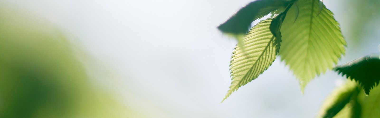 Perubahan Teknologi yang Mengubah Kehidupan dalam 10 Tahun Terakhir